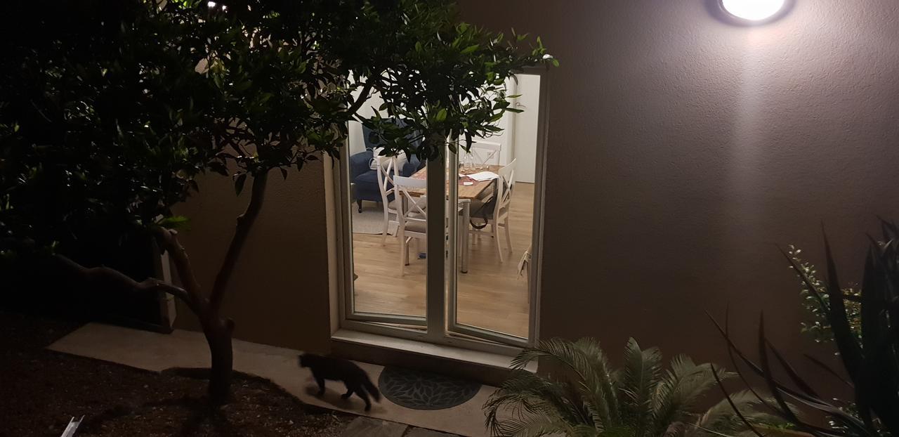 Garden Apartmant Near Sea Котор Экстерьер фото